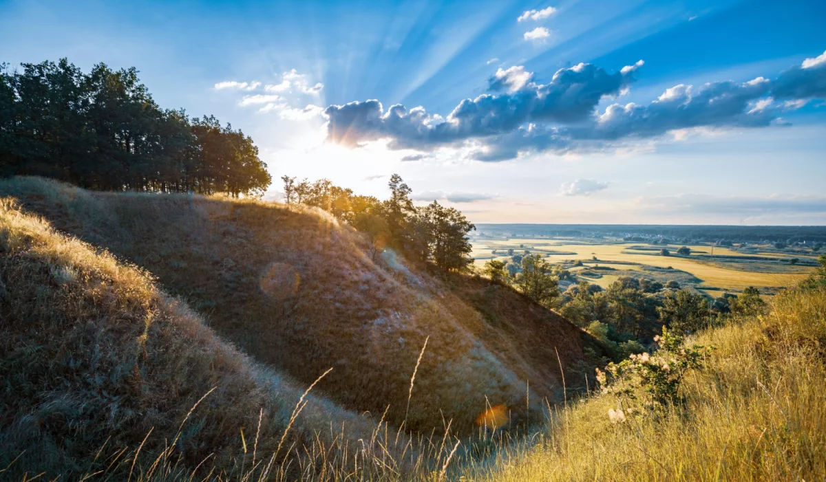 Nowe fakty - Dowiedz się jak organizować imprezy w tych 7 banalnych krokach