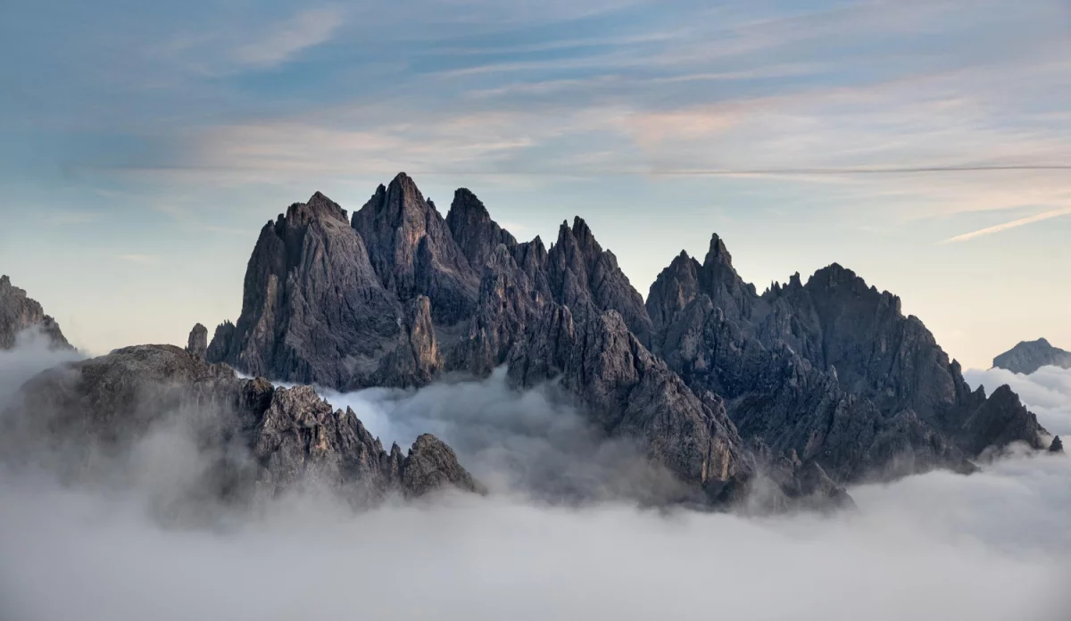 Chciał Tylko robić biznes. Popełnił Błąd, Który Kosztował Go ...
