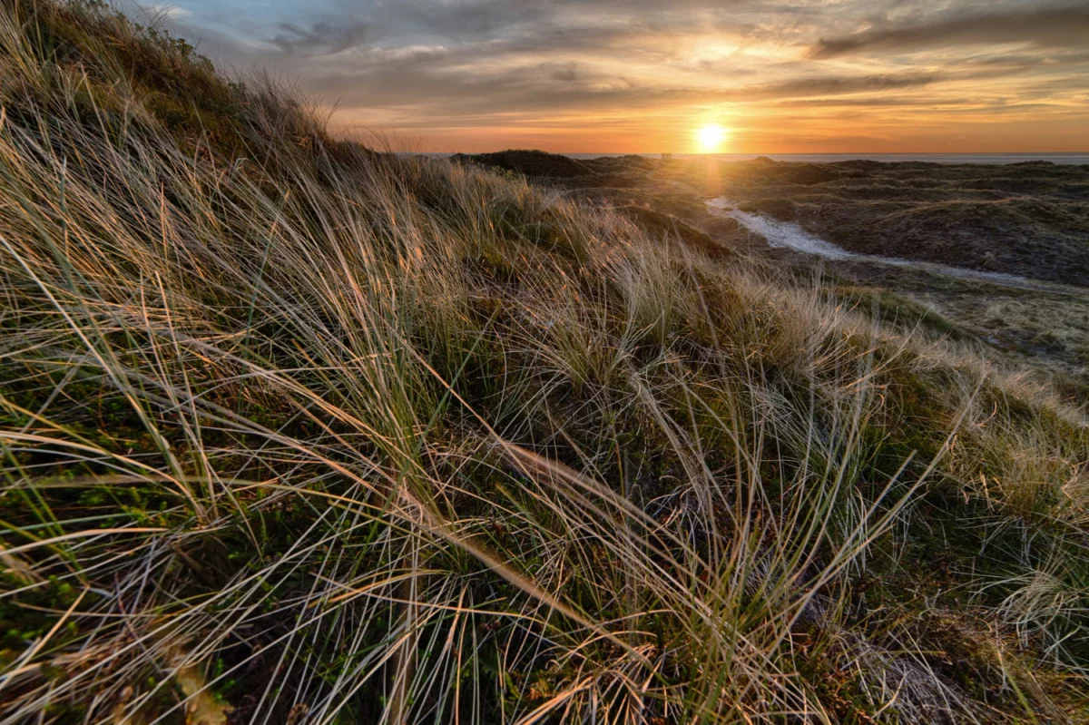 Czy 2022 będzie dobry dla ogób które chcą zamontować klimatyzację?